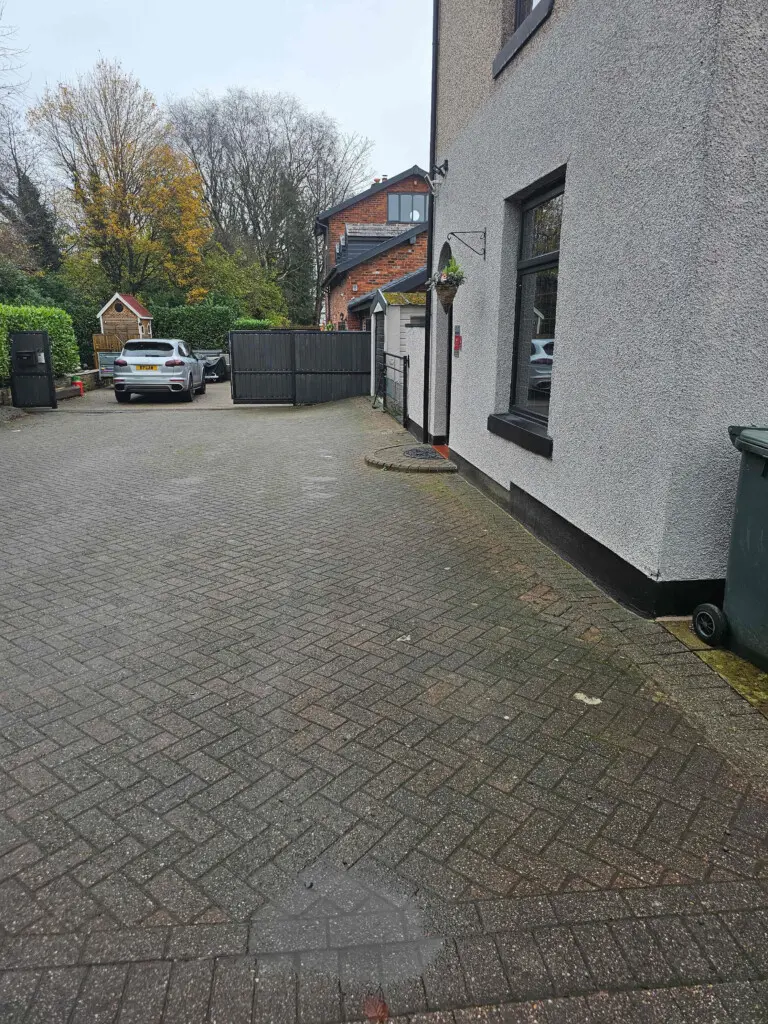 ybosvu8wl2m208lhzga6