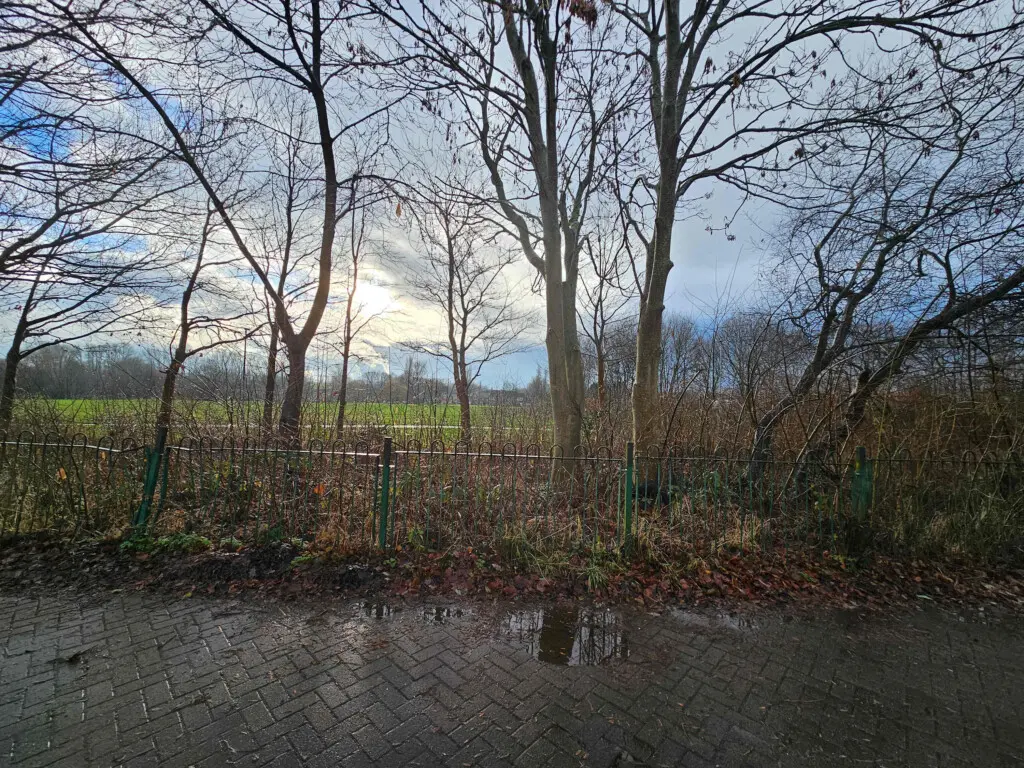 efauxnz8jckmwqjifjc1