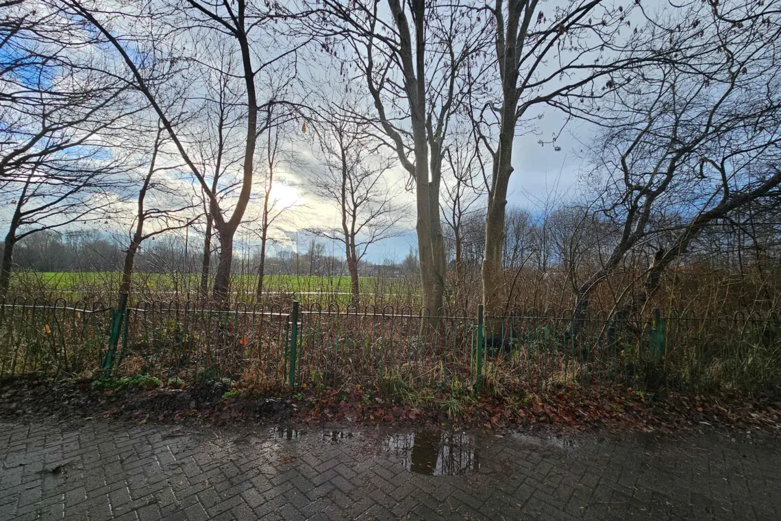 efauxnz8jckmwqjifjc1