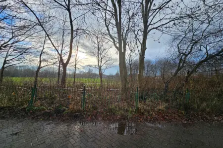 efauxnz8jckmwqjifjc1